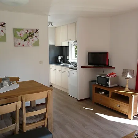 Chalet Chalet Chaletpark De Visotter 1 *